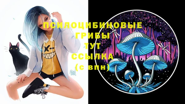 ECSTASY Абинск