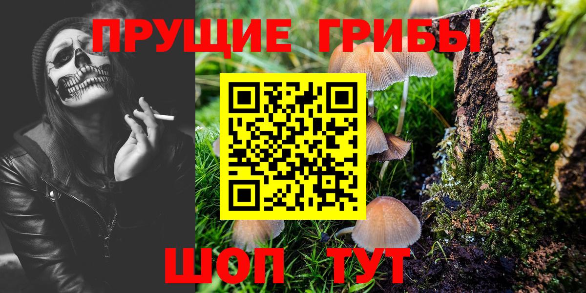 Псилоцибиновые грибы MAGIC MUSHROOMS Урус-Мартан